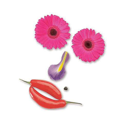 Atkinson & Graham Florists